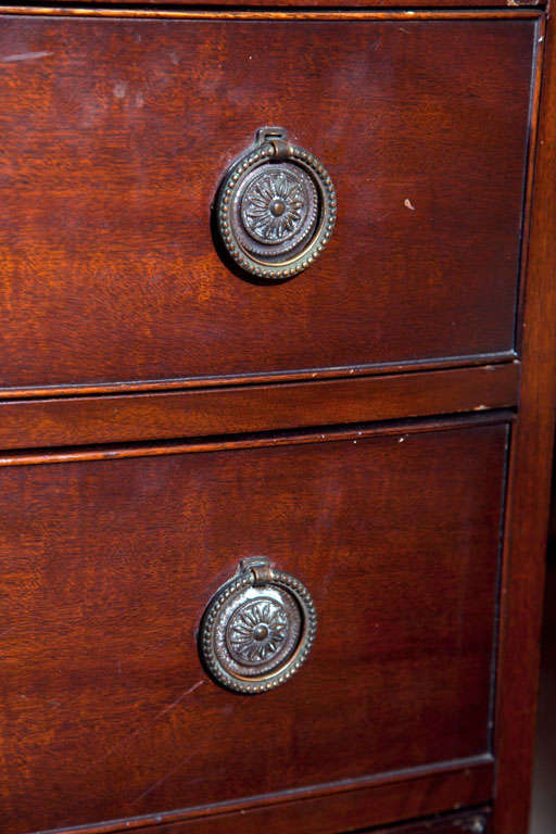 Pair of Bow Front Mahogany Bachelor Chests - Commodes 1
