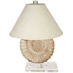 Large Faux Fossil Lamp