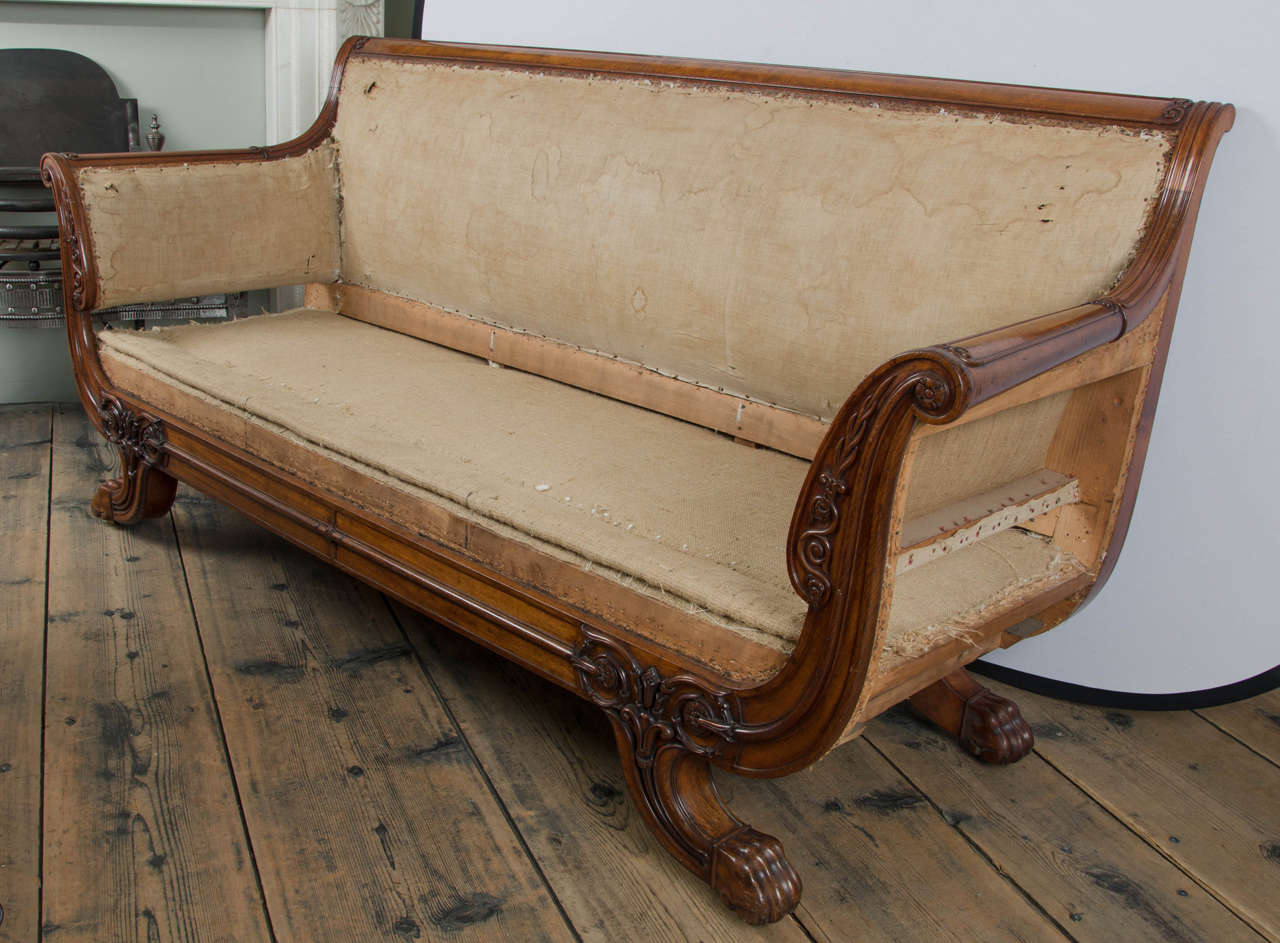 Early 19th century mahogany Regency sofa of exceptional timber, with carved foliate scroll arms on sabre legs with paw feet.