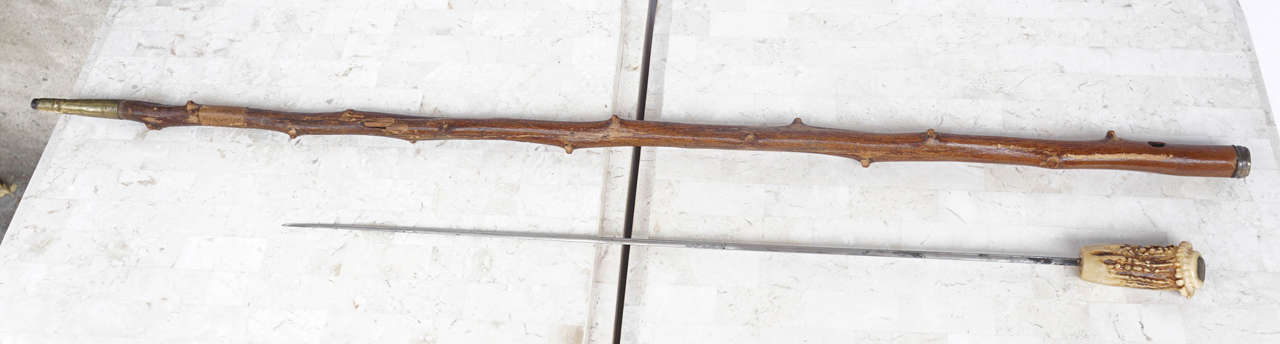 Two 19th Century French Canes with Hidden Daggers 4