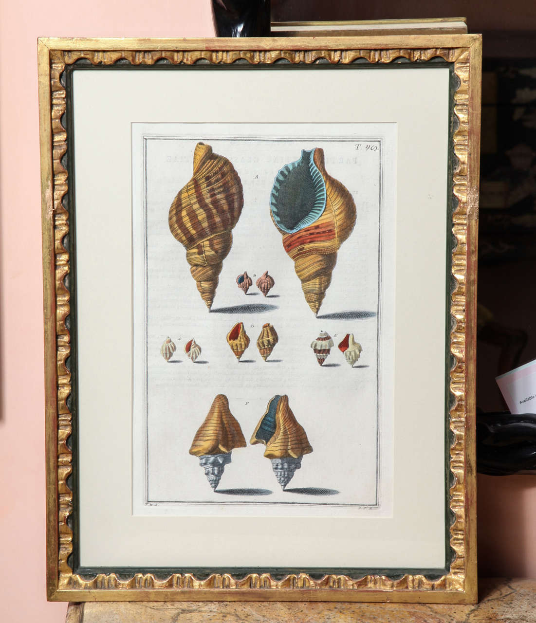 A Set of Four Hand Colored Engravings Late 19th/Early 20th Century, Italian For Sale 1