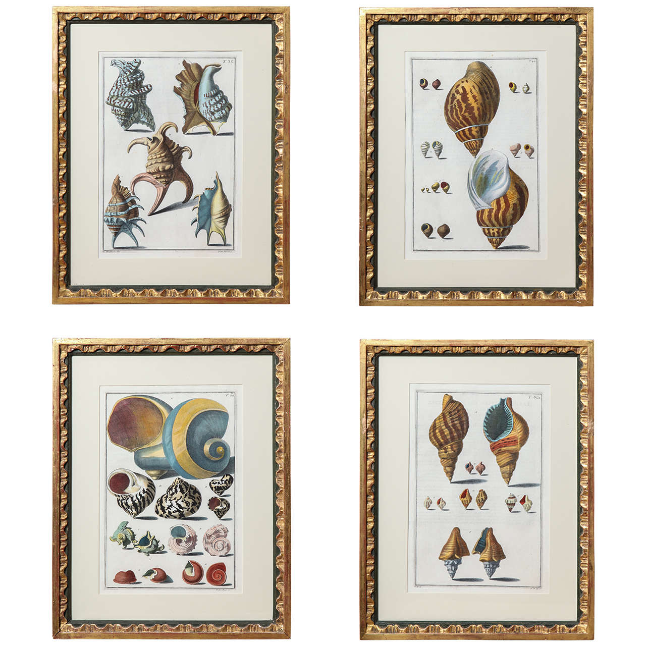 A Set of Four Hand Colored Engravings Late 19th/Early 20th Century, Italian For Sale