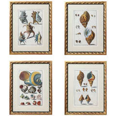 A Set of Four Hand Colored Engravings Late 19th/Early 20th Century, Italian