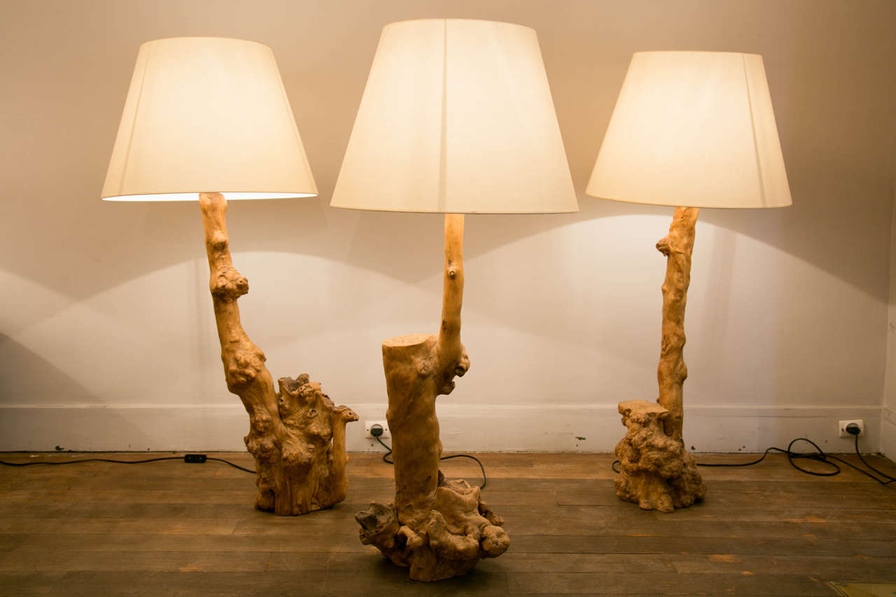 A set of 6 sculptural lamps made in Elm root.
(please ask us for the photo).
Each lamp is made in one block of wood. 
This set has a great "organic" look. 
Re-wired. 
Various heights  ( including shades)  :
- 1 lamp :117 cm 
- 2 lamps :