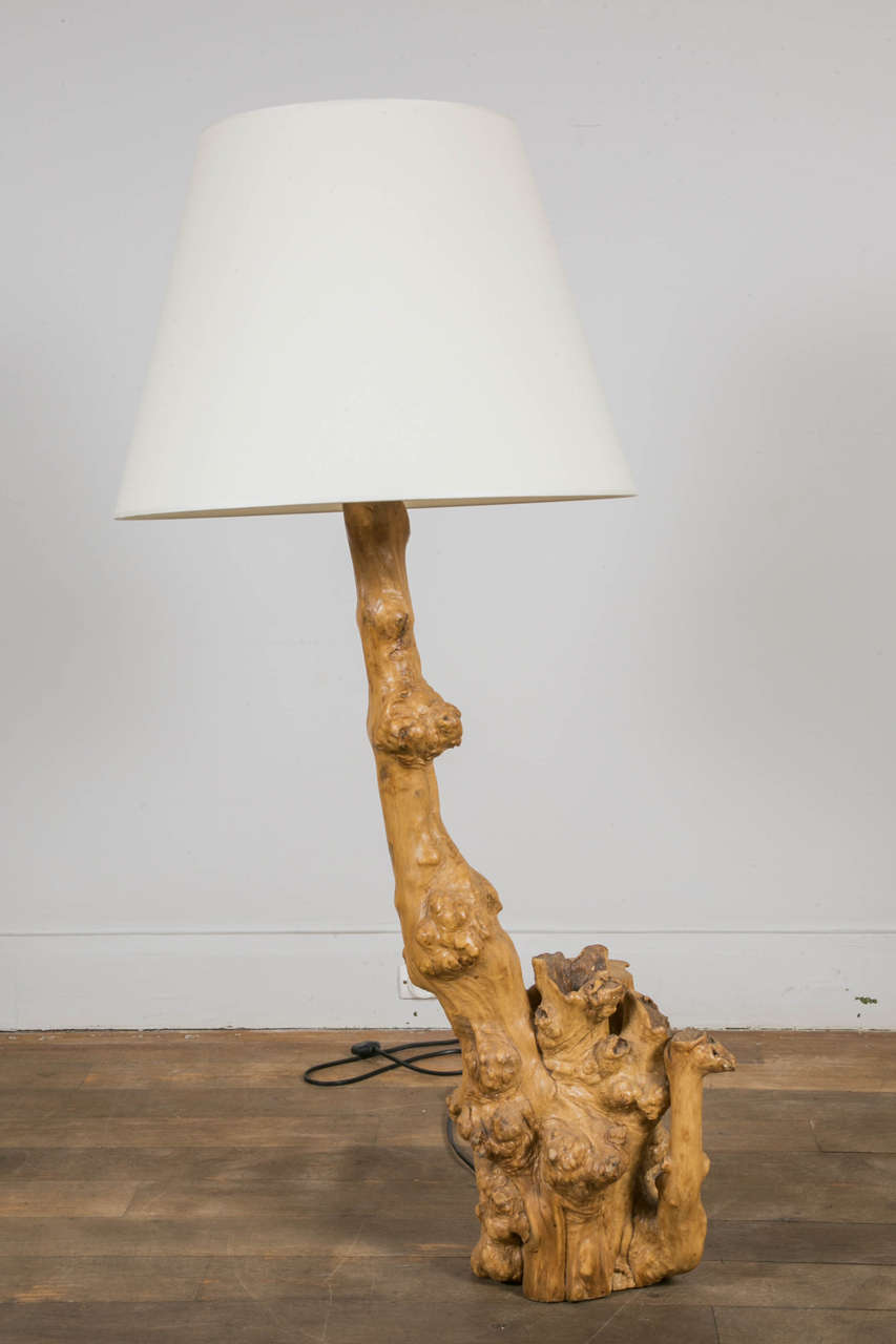 Late 20th Century Set of Six Sculptural Root Lamps, 1970