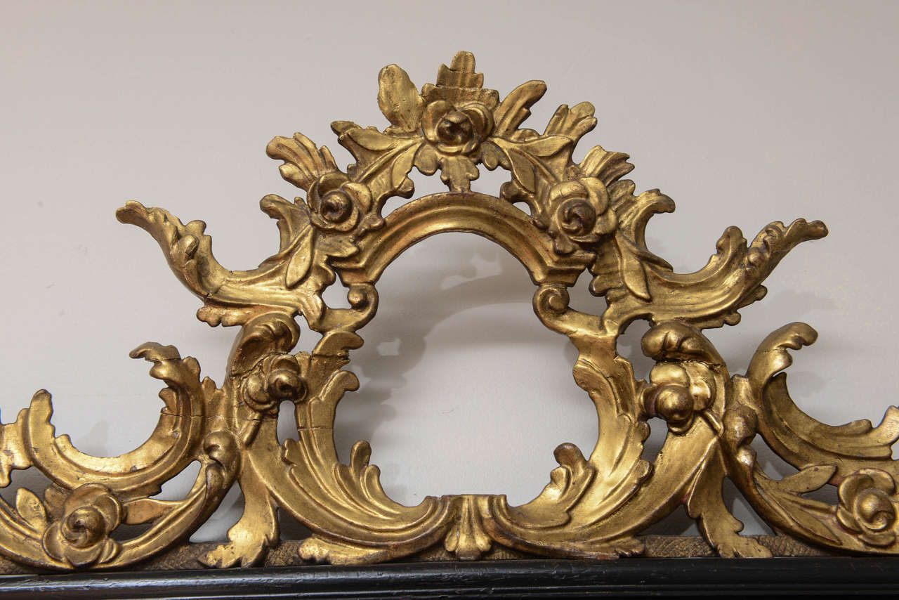 Superb19th Century Italian Giltwood Mirror 5