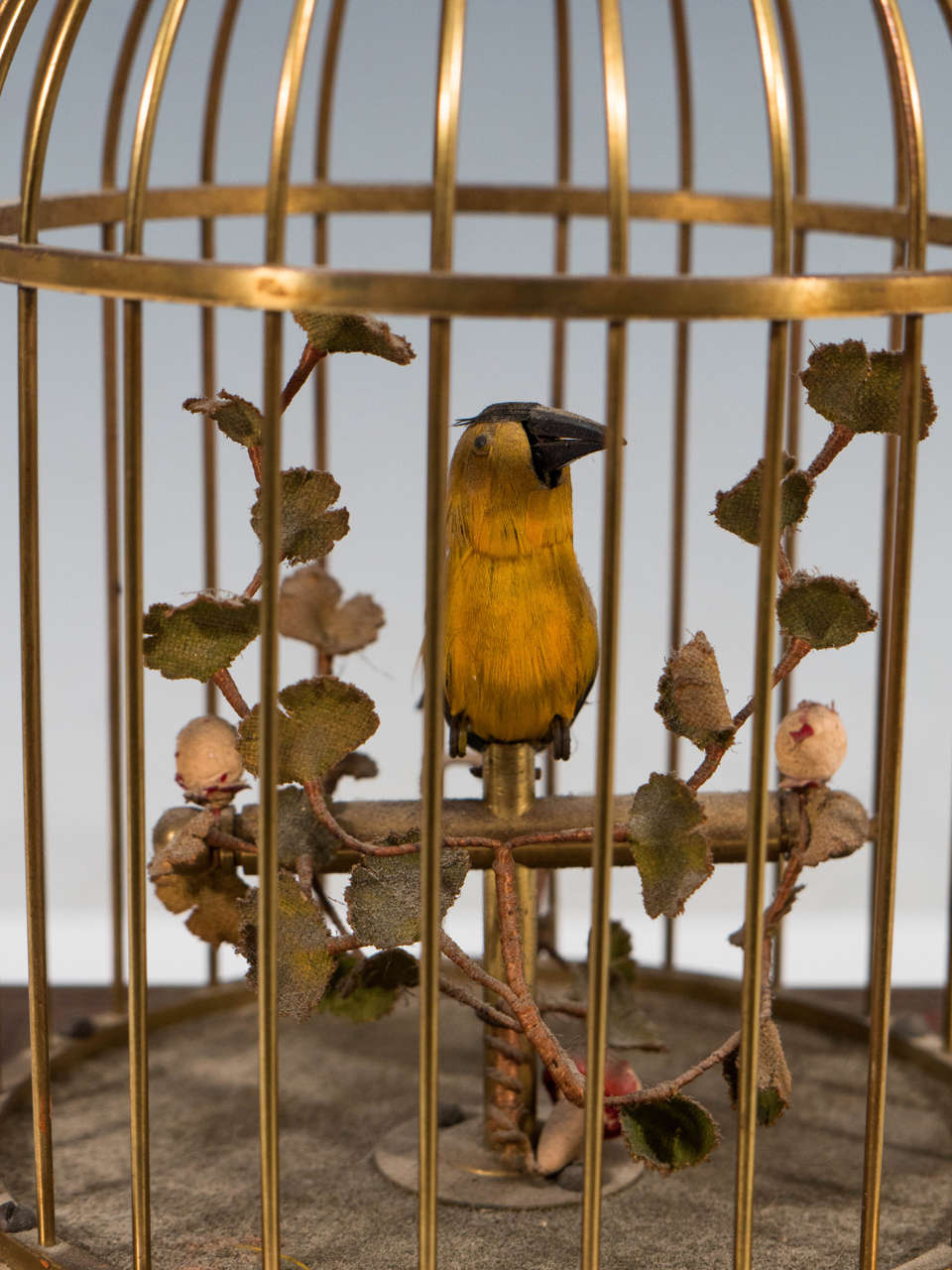 mechanical bird in cage