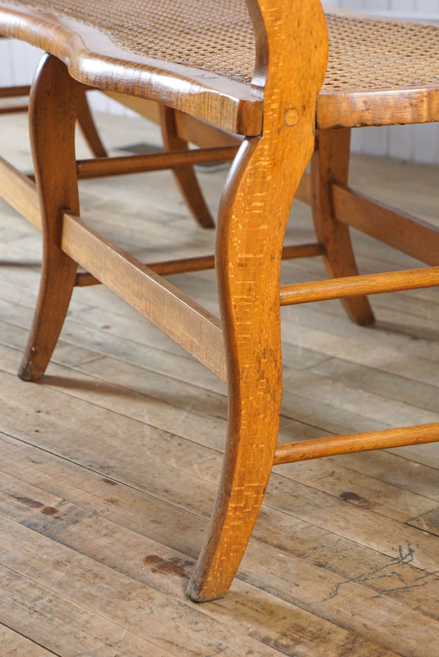 Wood Tiger and Bird's-Eye Maple Bench