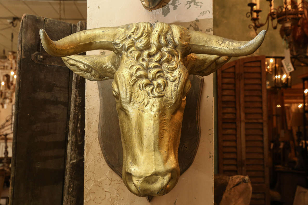 French Large Tete de Vache Wall-Mounted Sculpture