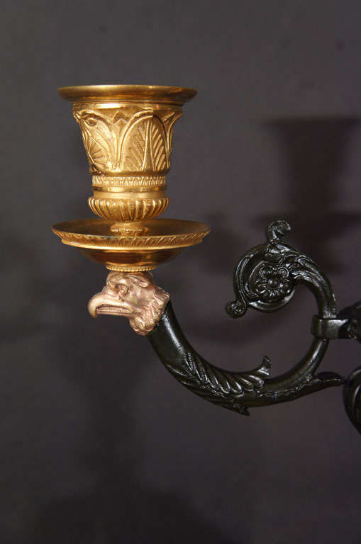 20th Century Pair Fine Louis XVI Style Gilt and Patinated Candelabra For Sale