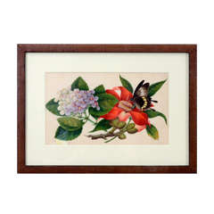 Chinese Export Watercolor of a Butterfly and Flowers