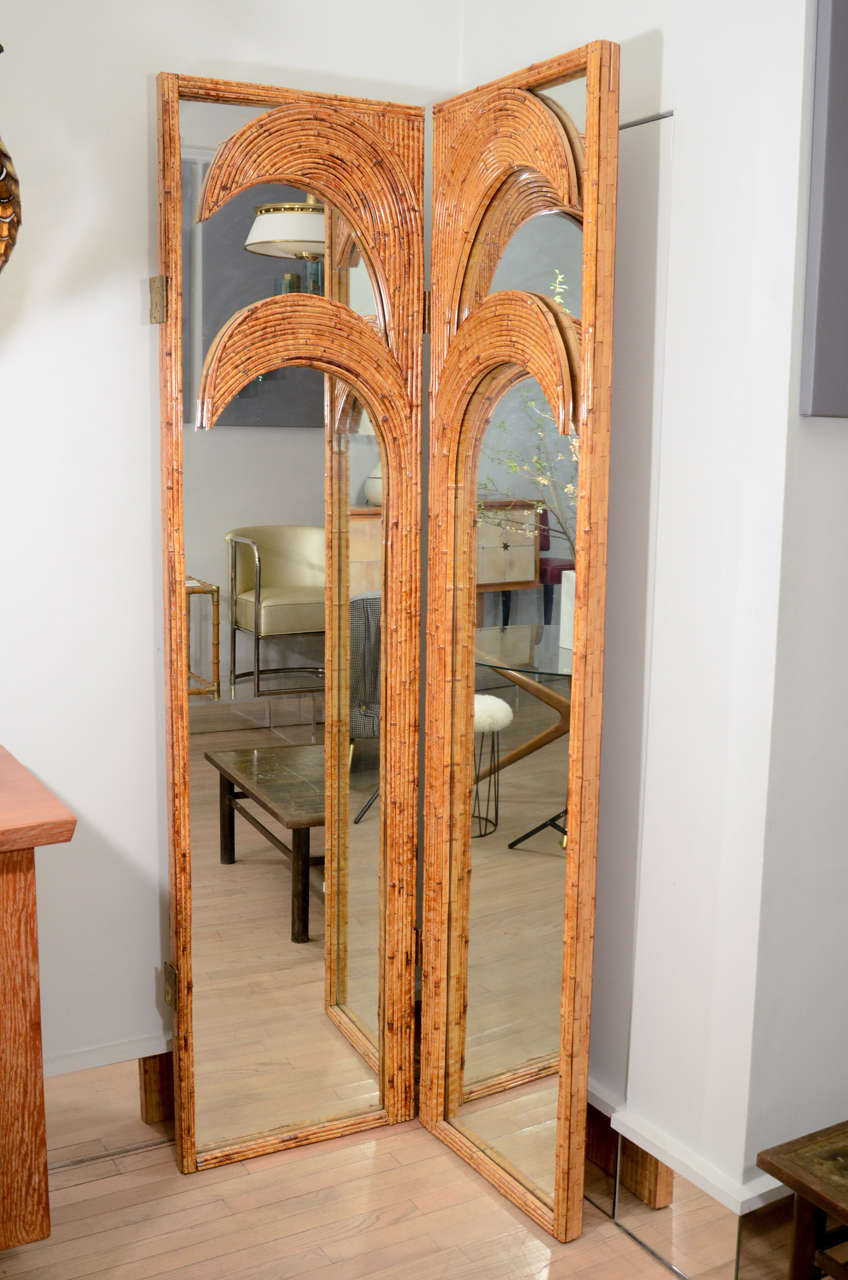 Mirrored Palm Screens