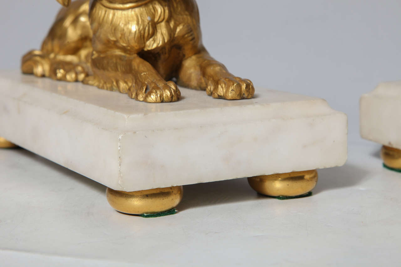 19th Century Rare Pair of French Louis XVI Doré Bronze Dogs on Carrara Marble Bases For Sale