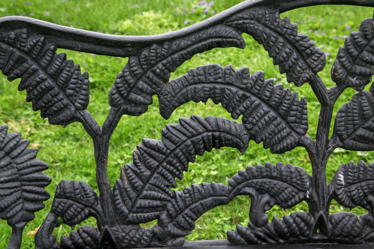 19th Century Made in America Fern Group