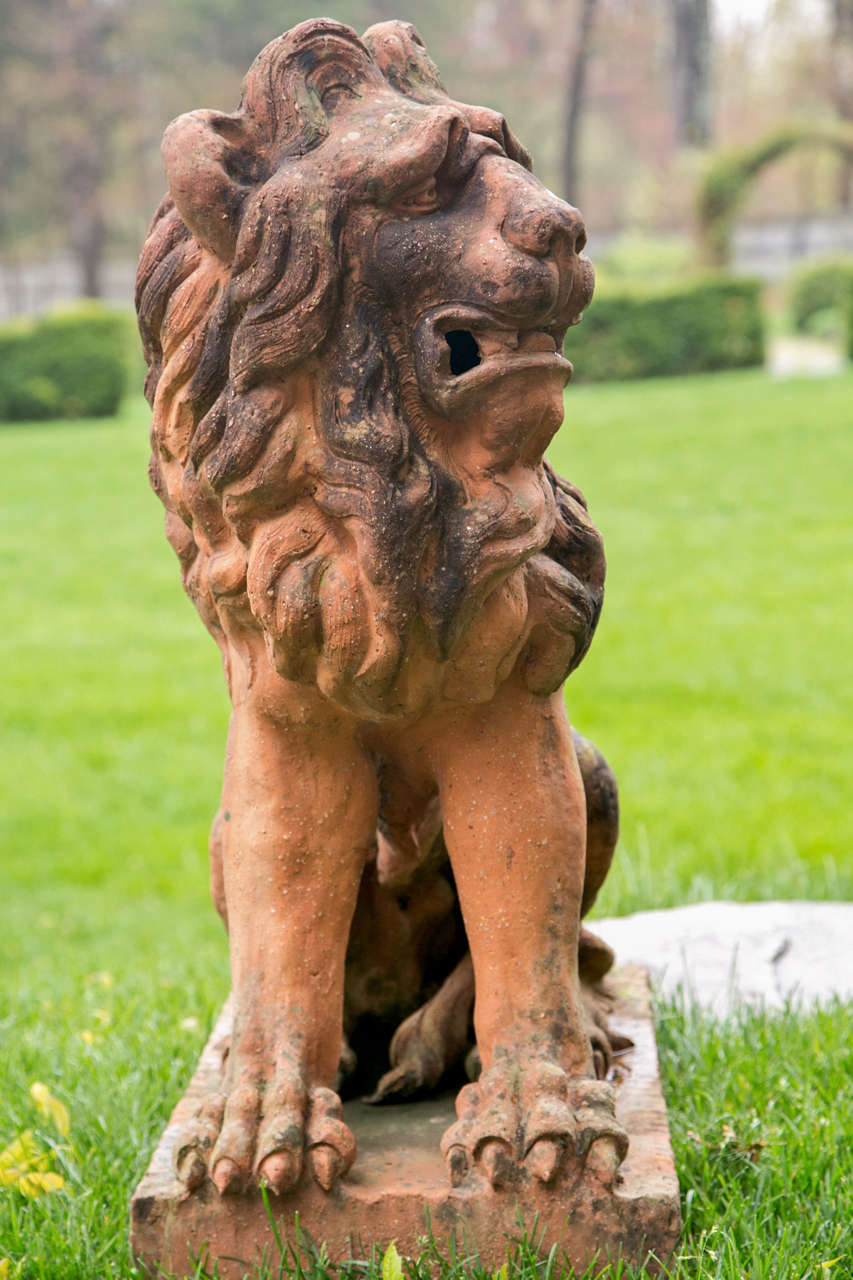 19th Century Sculptures of Lions in Terra Cotta