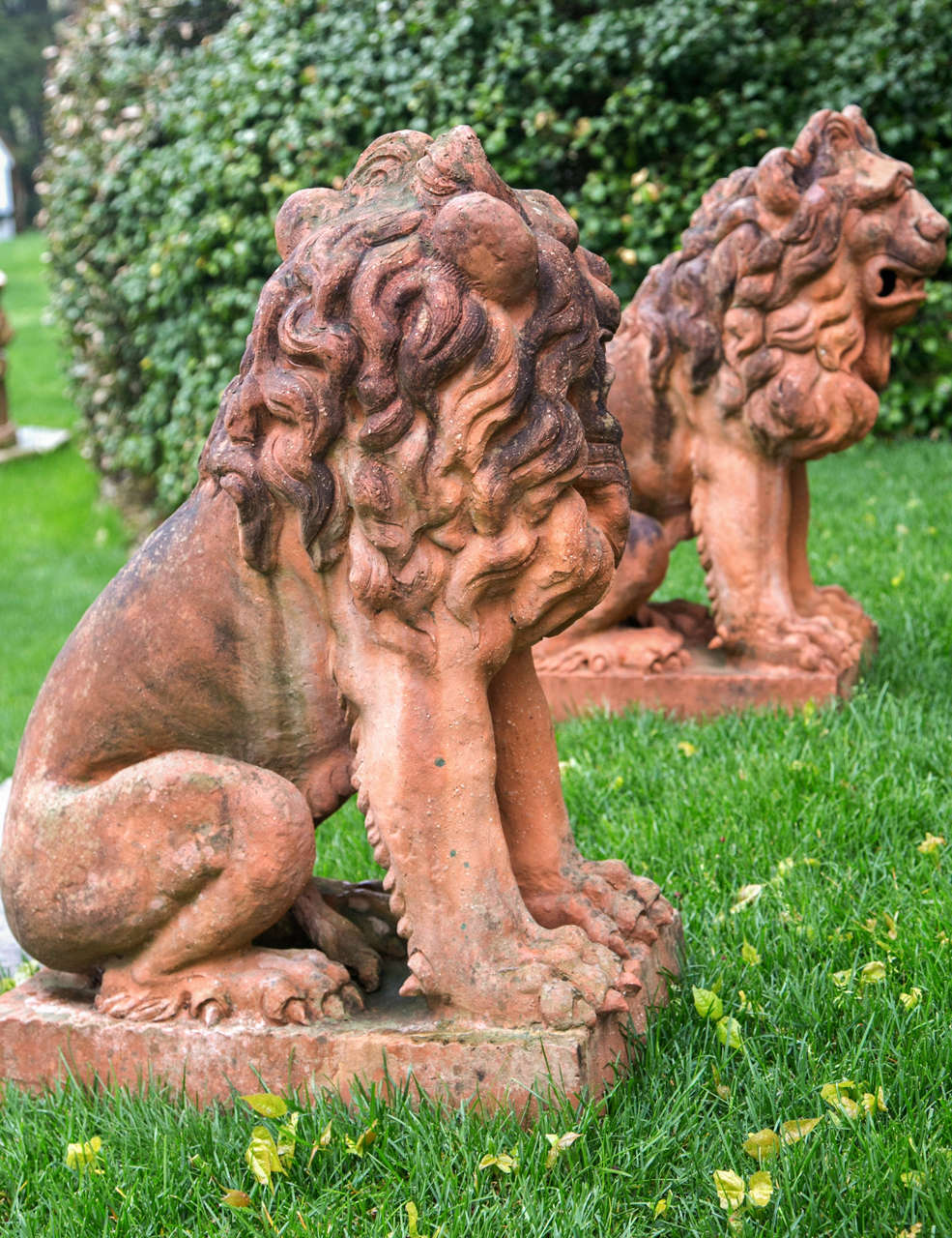 Sculptures of Lions in Terra Cotta 1