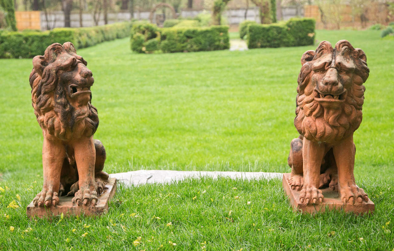 Sculptures of Lions in Terra Cotta 2