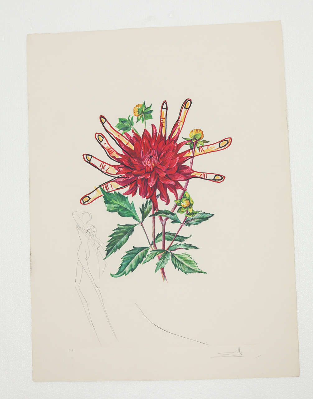 Signed Salvador Dali print, lithograph with original engraving, published in 1972 by Editions Graphiques Internationales. Image is derived from 19th century flower engraving which Dali surrealized in his own way. 
On Arches watermarked paper,