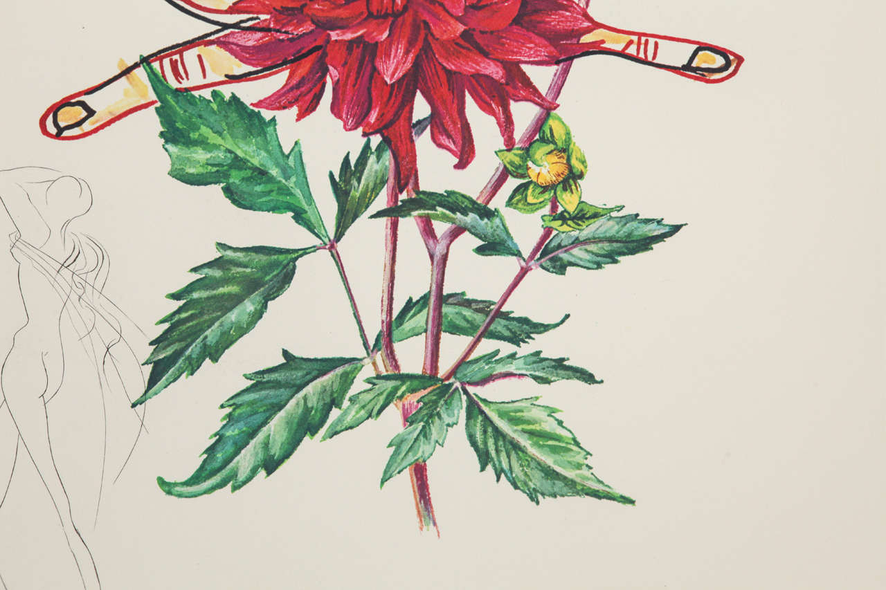 Signed Salvador Dali Florals Print 