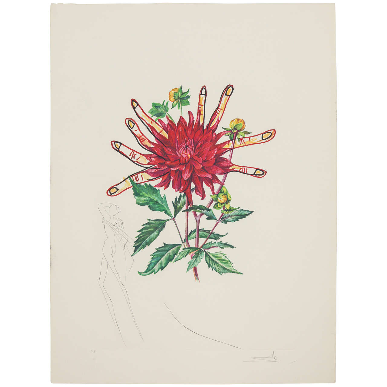 Signed Salvador Dali Florals Print "Dahlia" For Sale