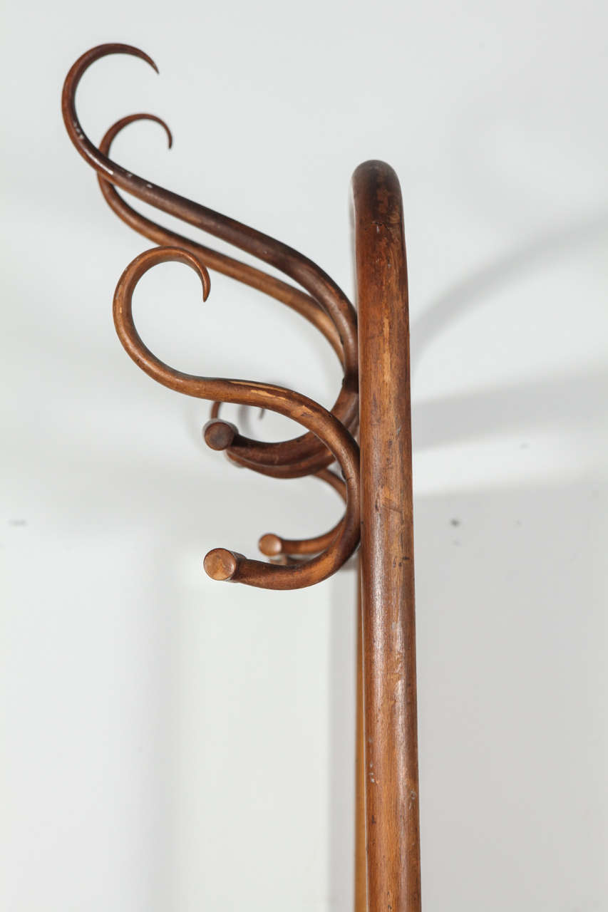 Bentwood Thonet Coat Rack and Umbrella Stand with Mirror 4