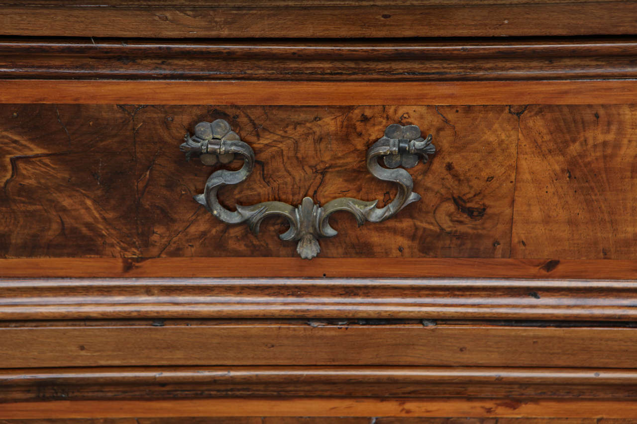 18th Century Italian Four-Drawer Burl Walnut Commode 2