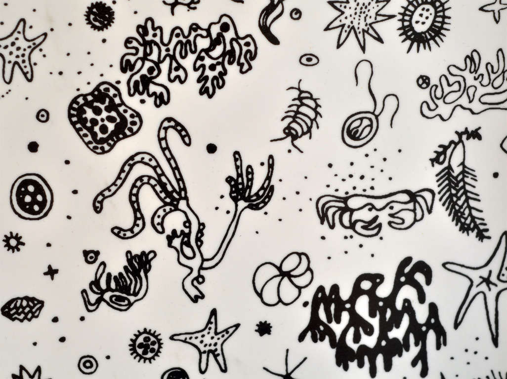 A beautifully-designed tray illustrated with line drawings of sea creatures by Charles and Ray Eames. It has become a mid-century design classic.