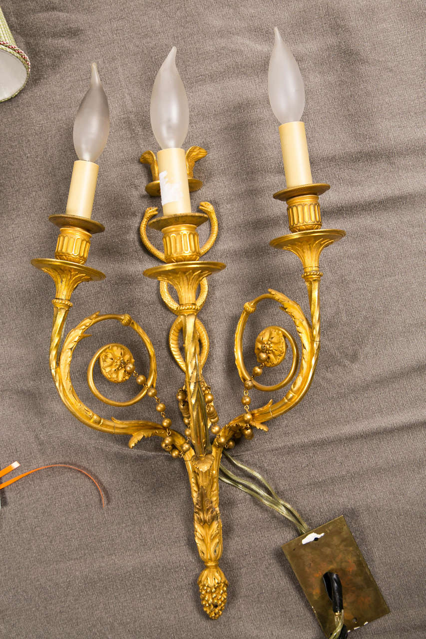 A Pair of Dore Bronze Sconce by Henri Picard,