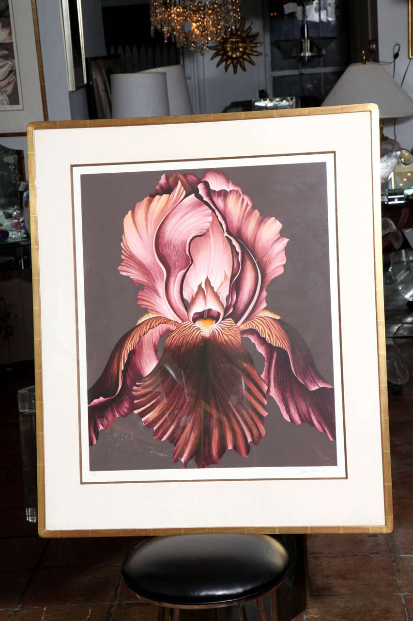 A wonderfully framed lithograph of an orchid signed and numbered by the artist 26/250. In a gold frame with fabric matt.