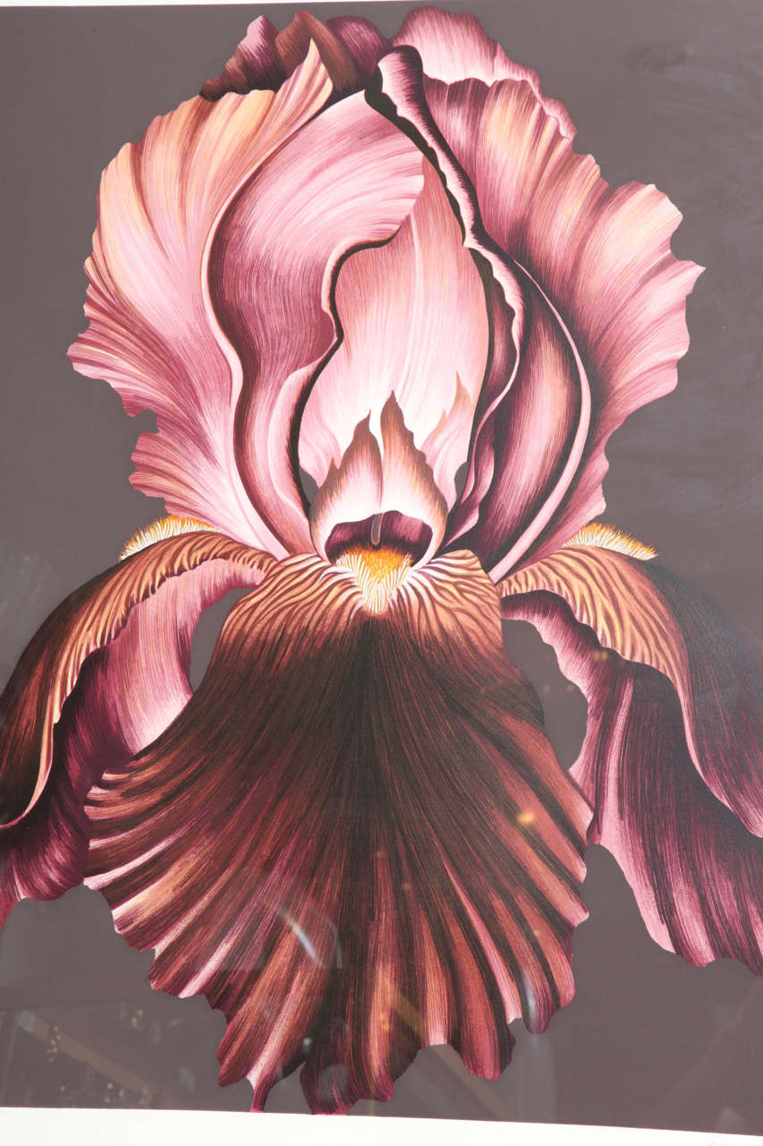 American John Zak Large Framed Lithograph of Orchid
