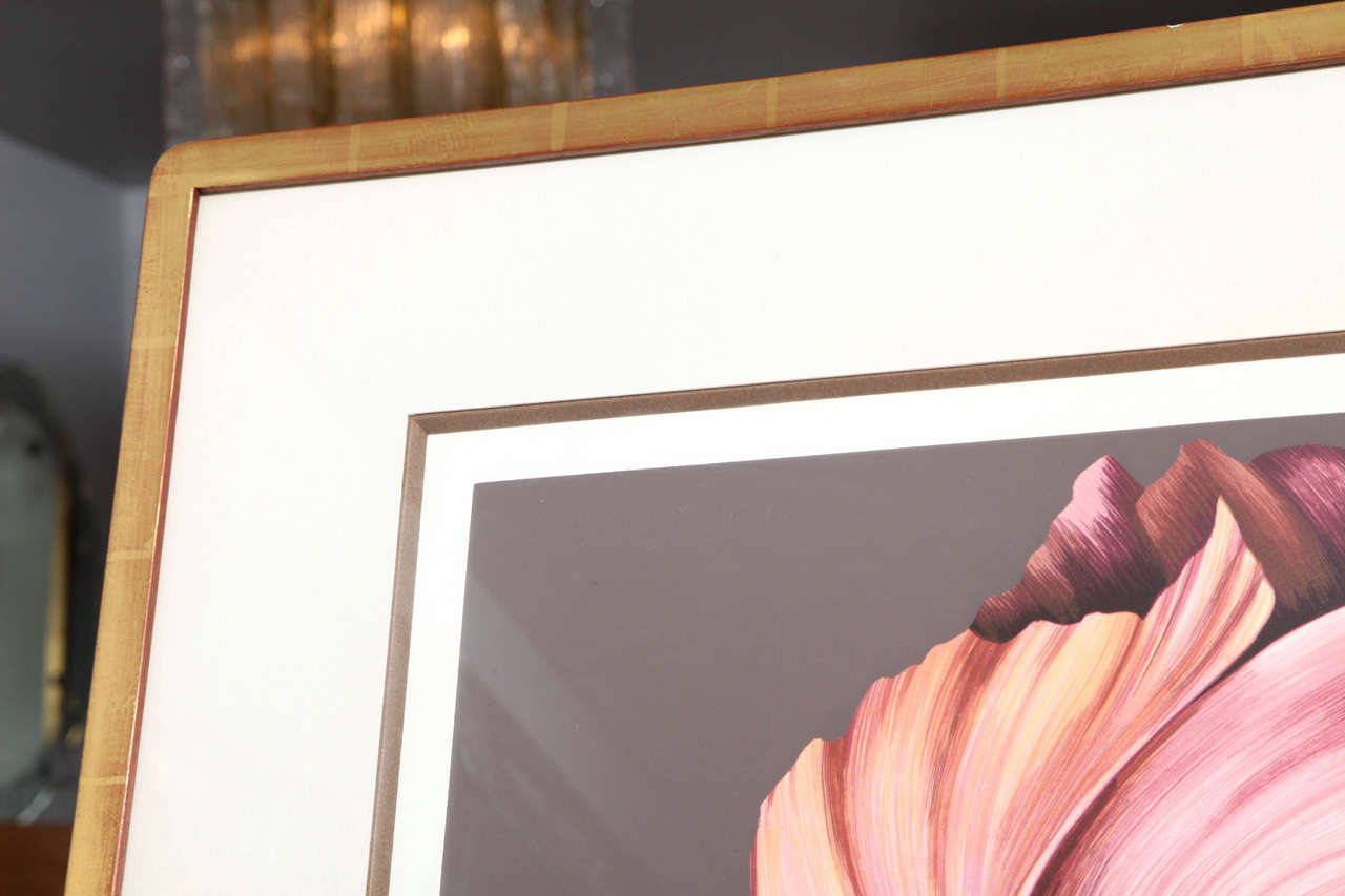 John Zak Large Framed Lithograph of Orchid 3