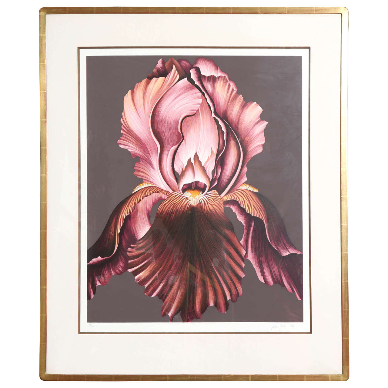 John Zak Large Framed Lithograph of Orchid
