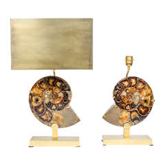 Exceptional Pair of Ammonites and Bronze Lamps