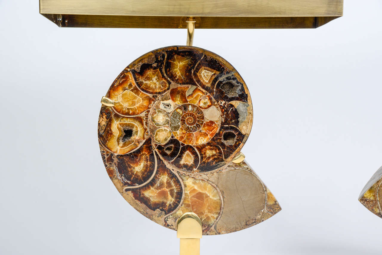 Mid-Century Modern Exceptional Pair of Ammonites and Bronze Lamps