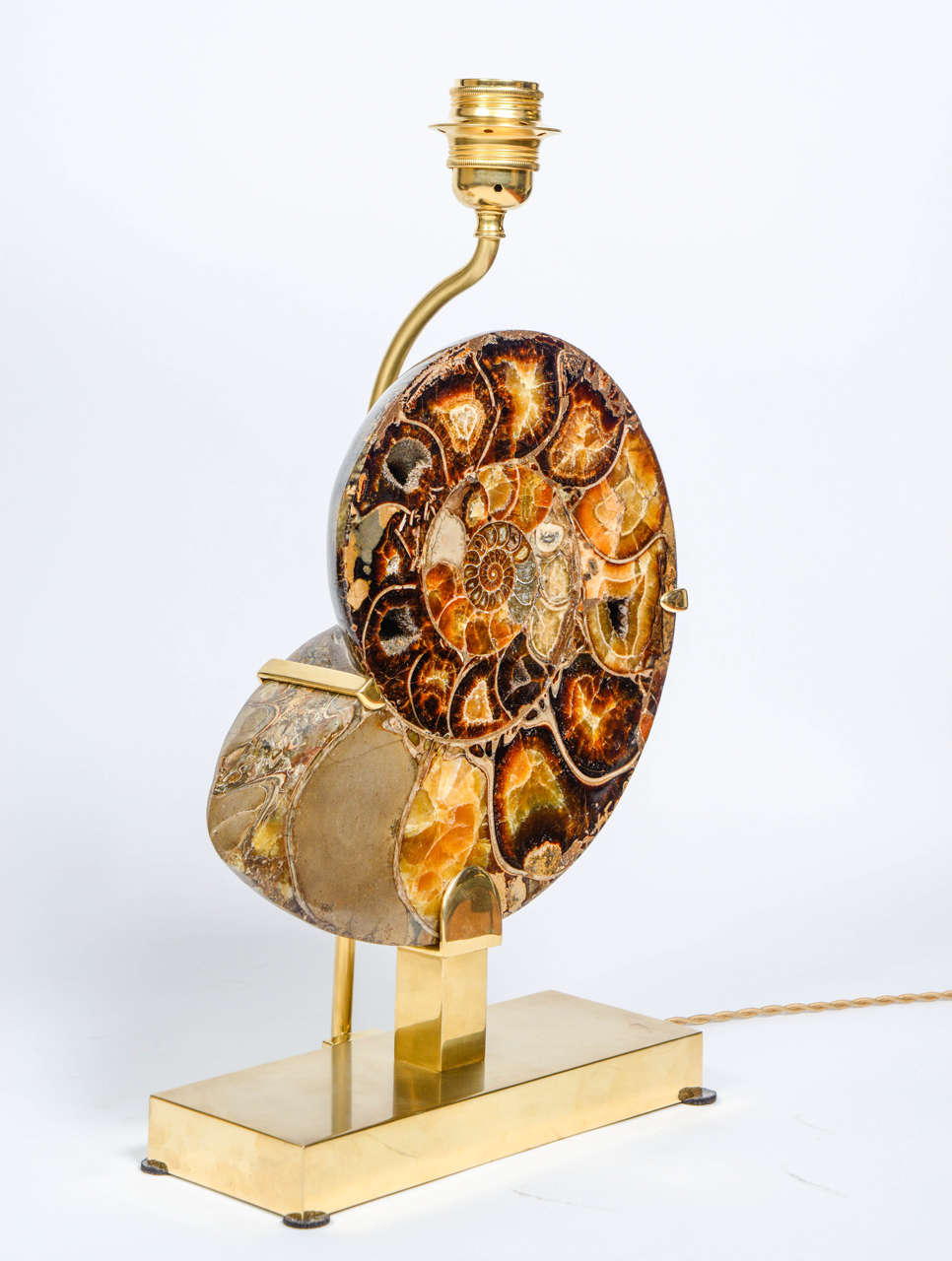 Exceptional Pair of Ammonites and Bronze Lamps In Excellent Condition In Saint-Ouen, IDF