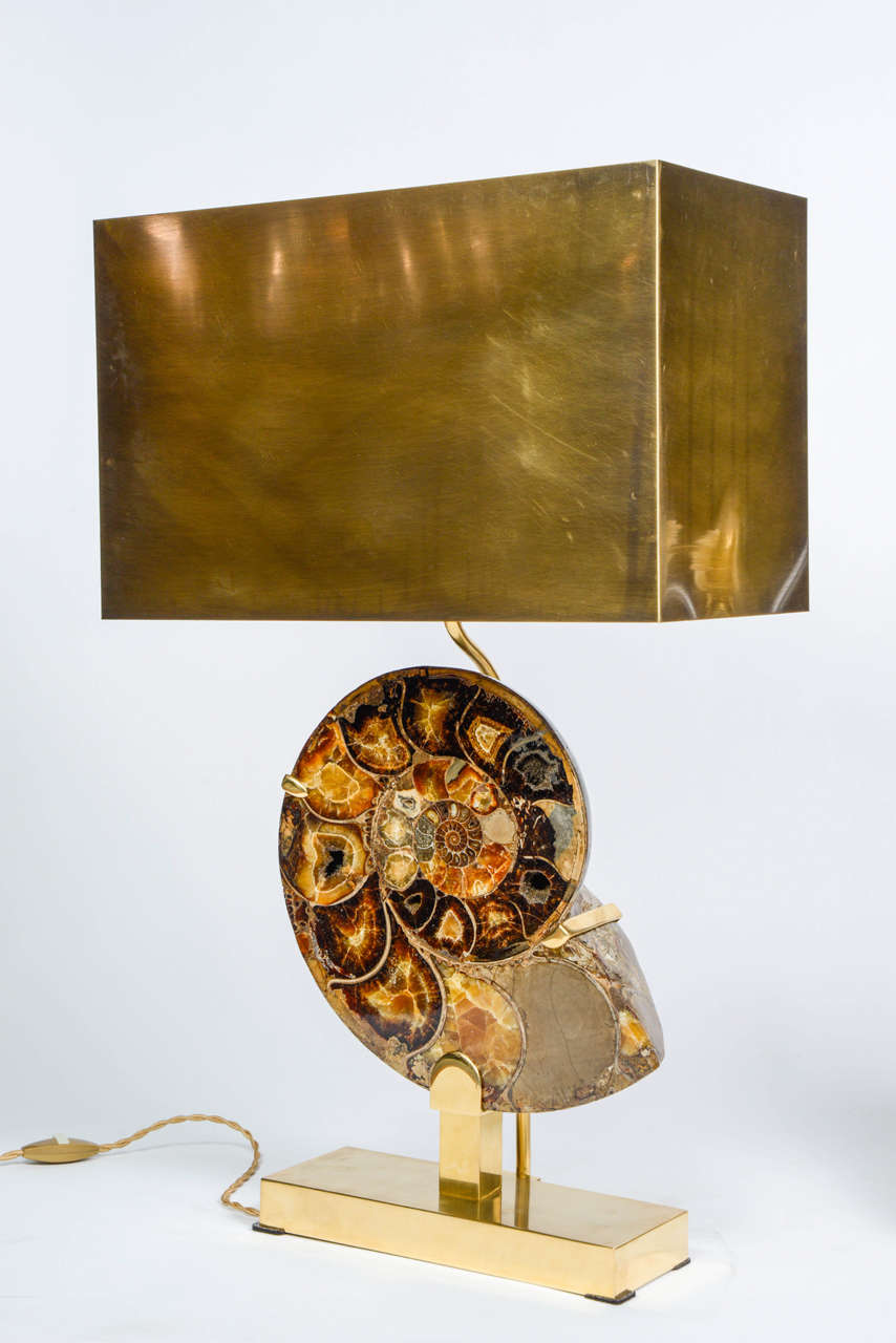 Contemporary Exceptional Pair of Ammonites and Bronze Lamps