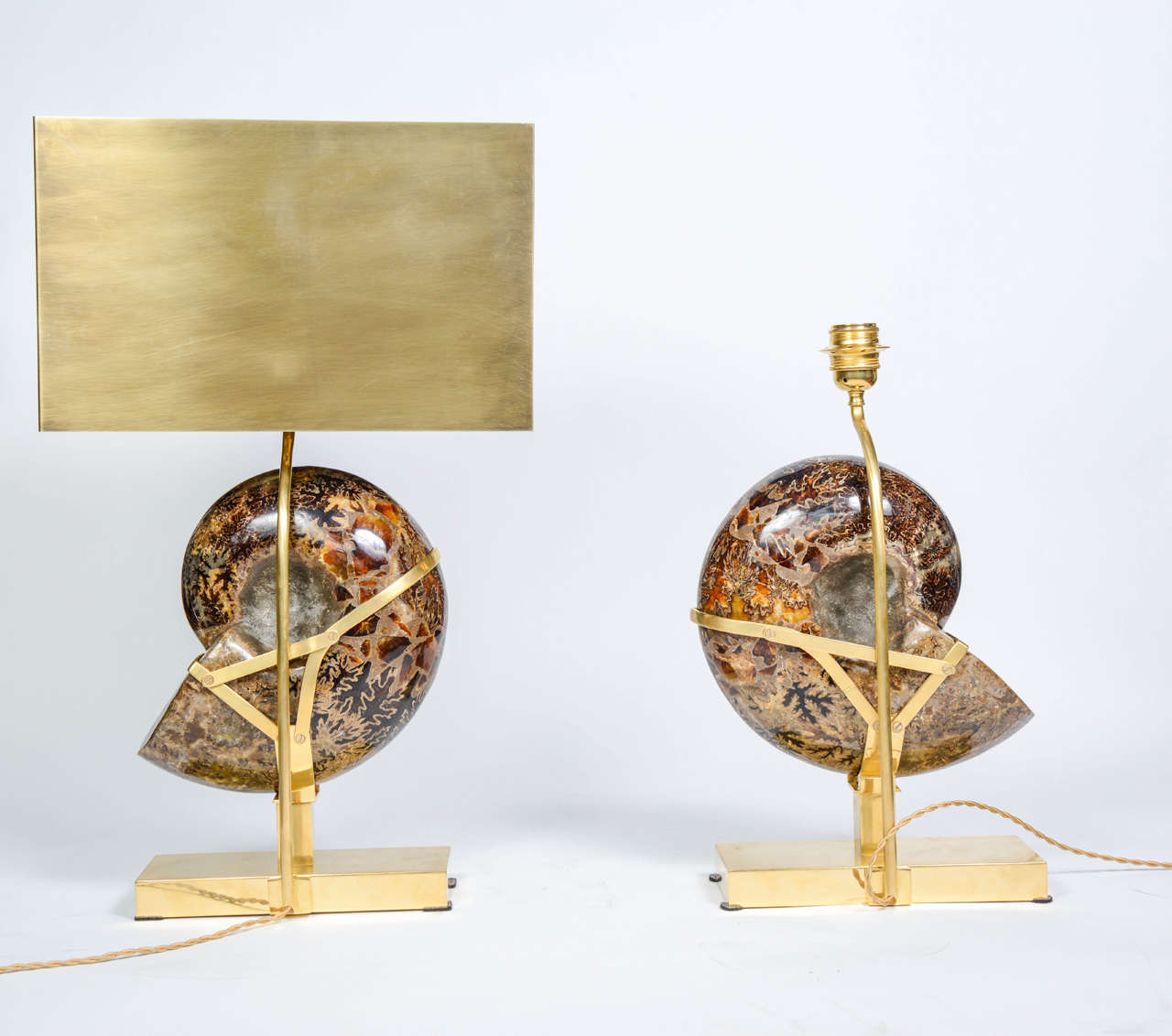 Exceptional Pair of Ammonites and Bronze Lamps 1