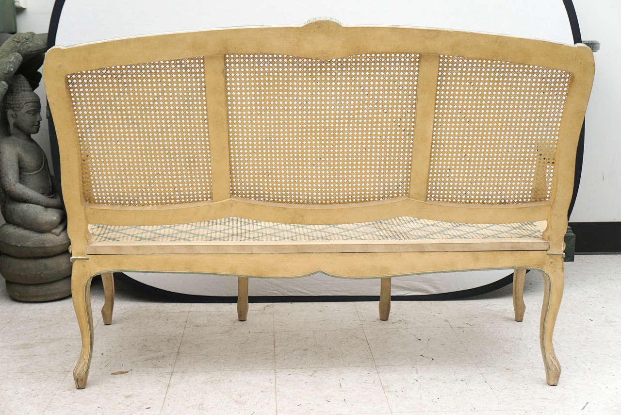 Early 20th Century Louis XV Style Finely Carved Wood and Caned Settee For Sale 5