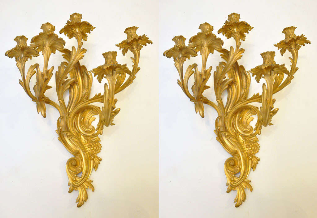 Pair of Rococo Gilt Bronze Five Light Sconces, scrolling arms with acanthus leaves, flowers and birds. 




