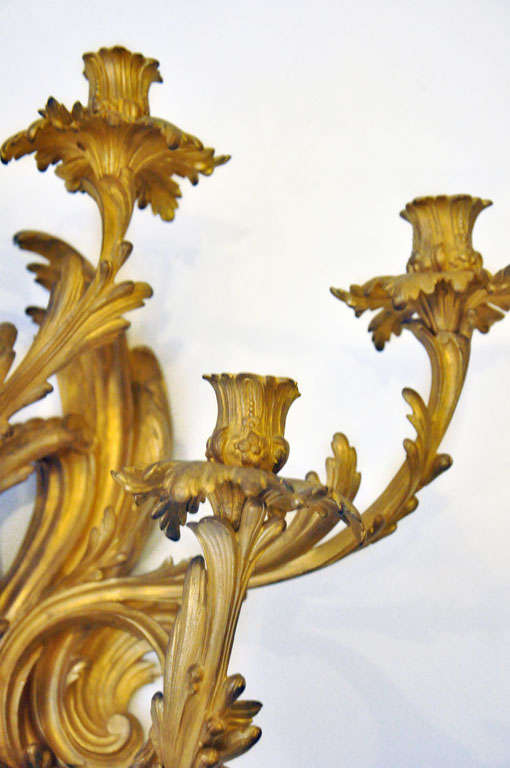 Pair of Rococo Gilt Bronze Sconces In Excellent Condition For Sale In Chicago, IL