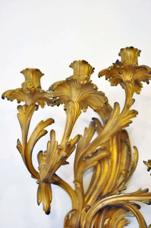 Mid-19th Century Pair of Rococo Gilt Bronze Sconces For Sale