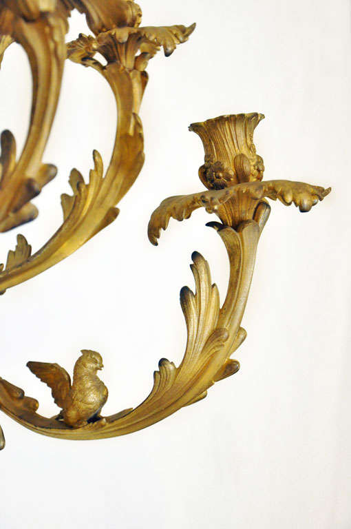 Pair of Rococo Gilt Bronze Sconces For Sale 5