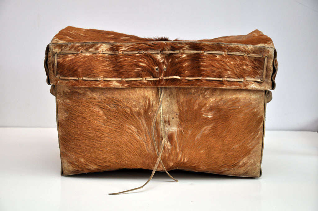 Hair On Hide Trunk From Argentina's Frontier Region at 1stDibs