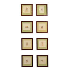 Antique Set of Eight Victorian Dog Portraits by L.A. Sedillot
