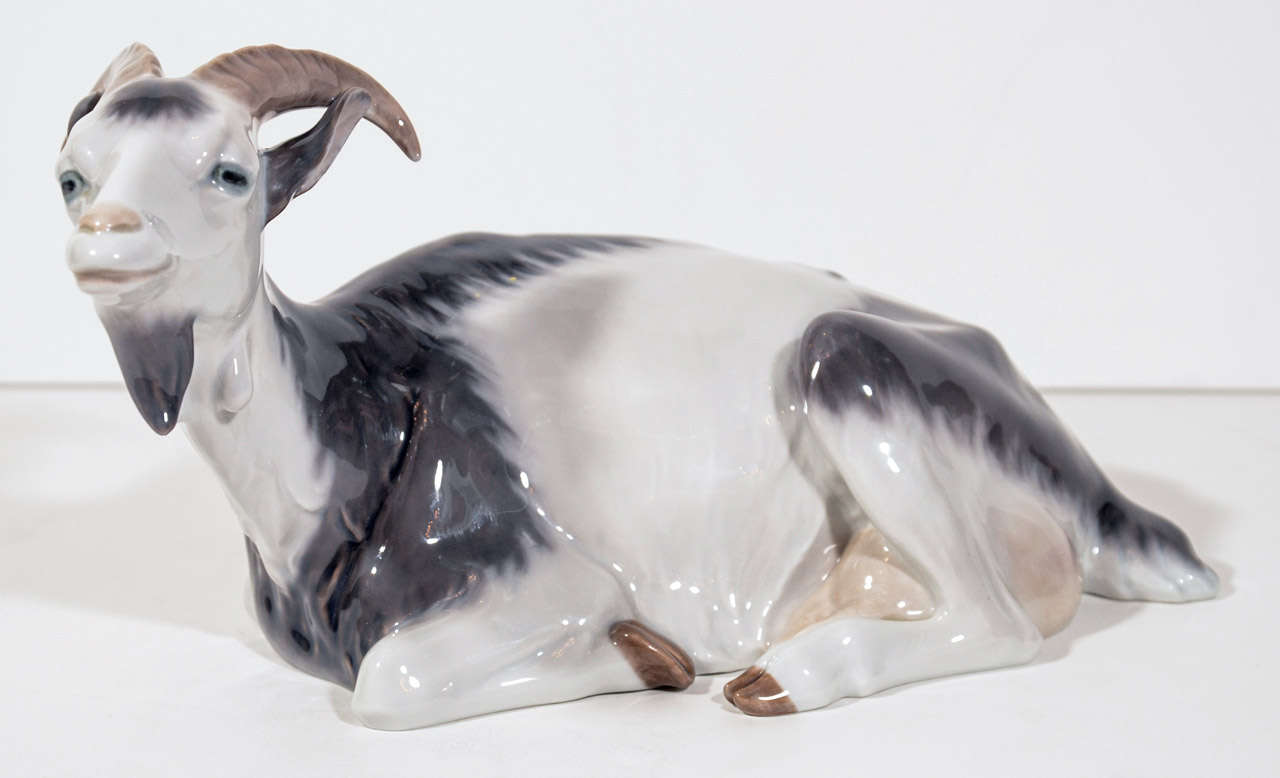 Beautiful hand made and hand painted ceramic porcelain figure of a goat in resting position. Magnificent details and form. Signed Royal Copenhagen and numbered 466.