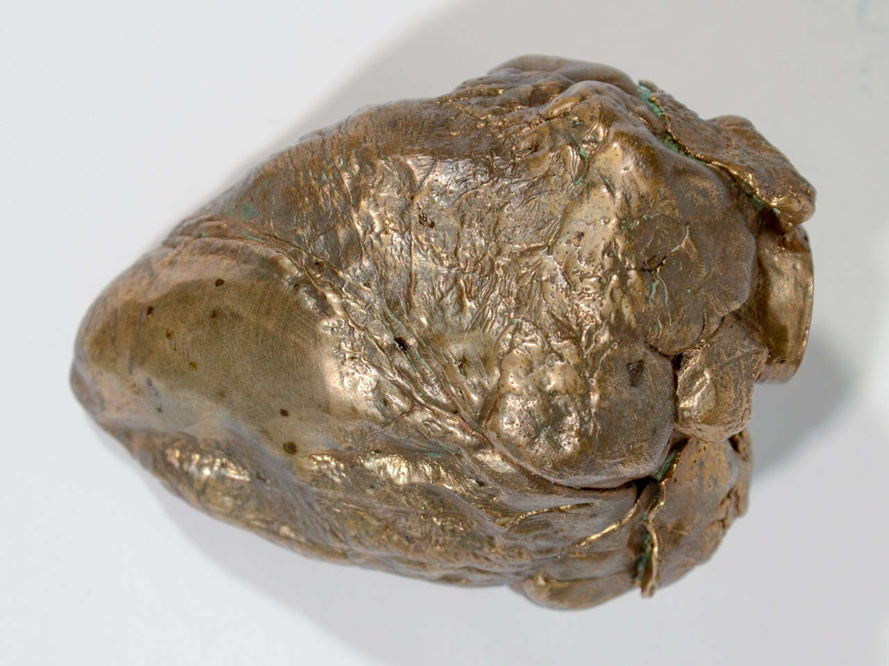 Cast Bronze Human Heart Paperweight Designed by Chris Classen