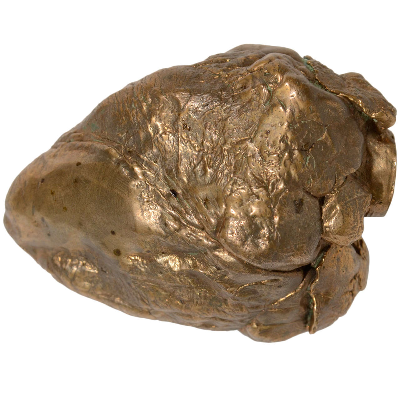 Cast Bronze Human Heart Paperweight Designed by Chris Classen at 1stDibs