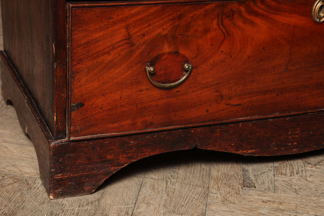 19th Century English Mahogany Chest of Drawers In Excellent Condition In New York, NY