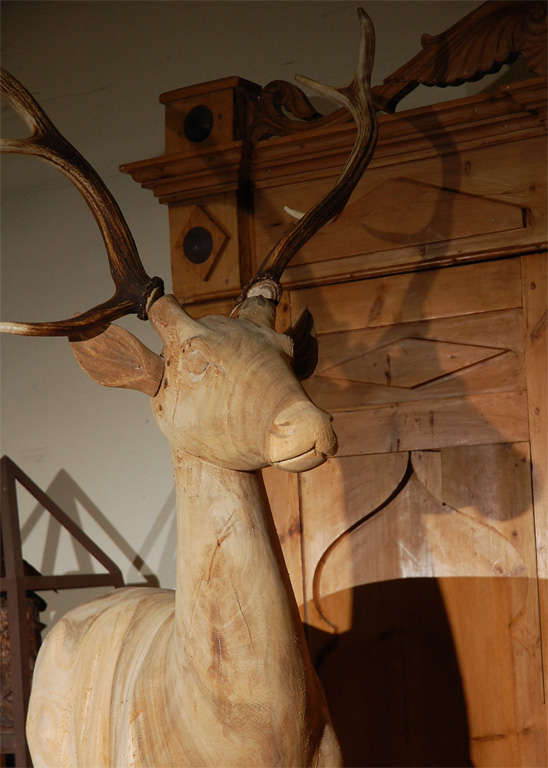 Belgian Large Wood Carved Standing Deer