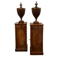 Antique A Rare Pair of George III Mahogany Urns on Pedestals
